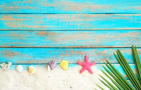 Sand, beach, background, Board, star, shell, summer, beach