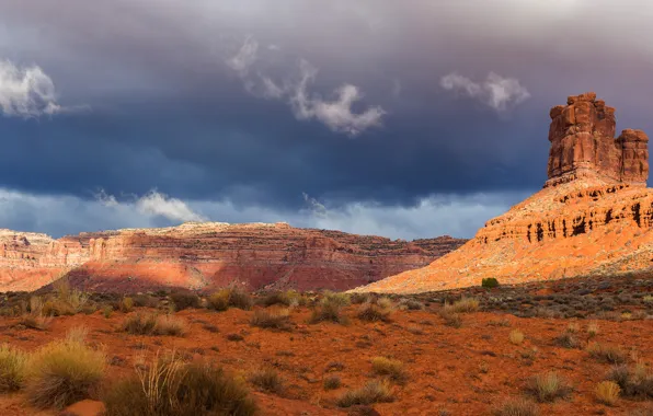 Sand, the sky, clouds, clouds, vegetation, desert, USA, America