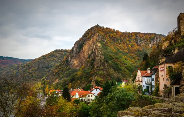 Picture road, autumn, forest, the sky, trees, mountains, river, rocks