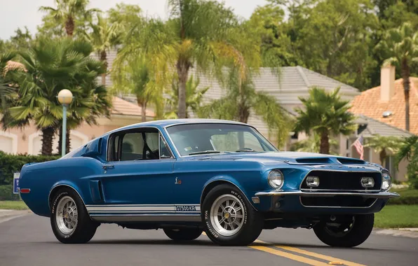 Picture Shelby, muscle car, Fastback, 1968, GT 500 KR
