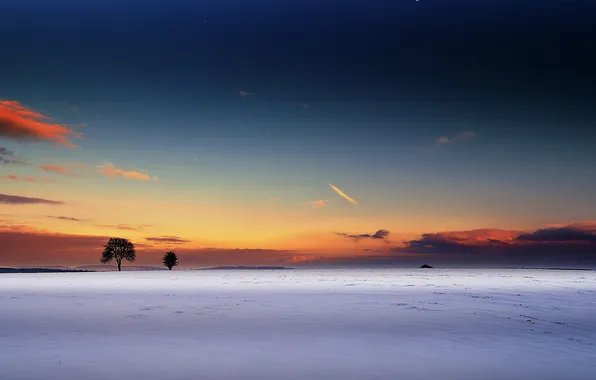 Picture field, snow, trees, dawn, the moon, horizon