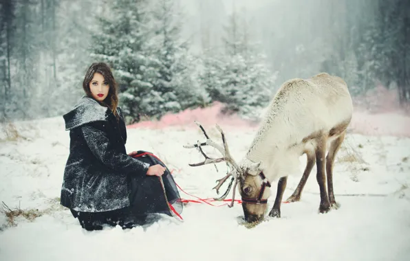 Winter, girl, deer