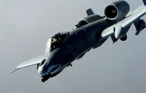 Picture attack, American, single, armored, Republic, twin-engine, Fairchild-Republic A-10 Thunderbolt II, Fairchild