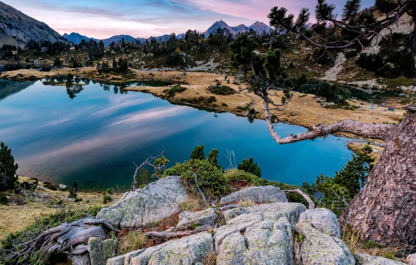 Trees, mountains, lake, stones, rocks, France, Pyrenees, Aragnouet