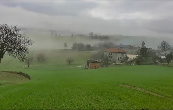 Picture grass, trees, fog, house, morning, Italy, Campagna
