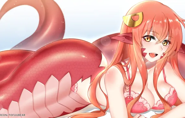 Picture girl, monster, being, Monster Musume No Iru Nichijou
