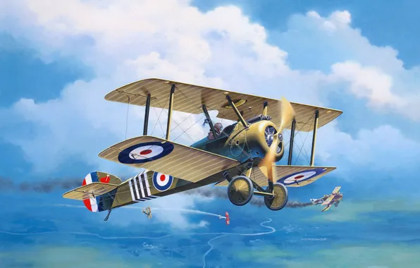 Biplane, UK, art, Sopwith, The first World war, RFC, Roland C.II, F.1 Camal