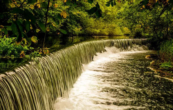 Picture greens, forest, branches, waterfall, UK, river, the bushes, Derbyshire