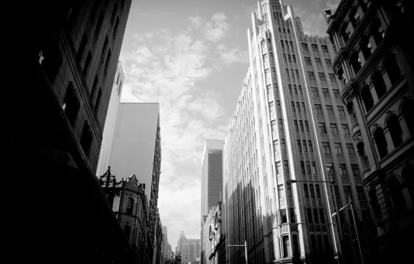 Picture the sky, white, building, skyscrapers, black