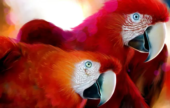 Red, Figure, Ara, parrot