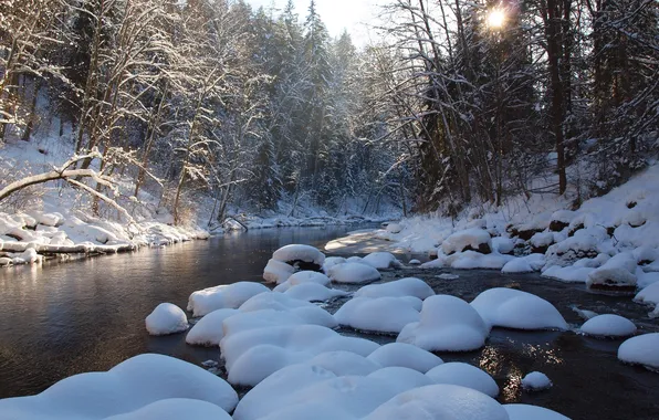 Picture winter, forest, the sky, snow, trees, sunset, river, stones