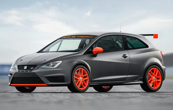 Picture machine, sport, hatchback, seat, Ibiza, SEAT, Tophy