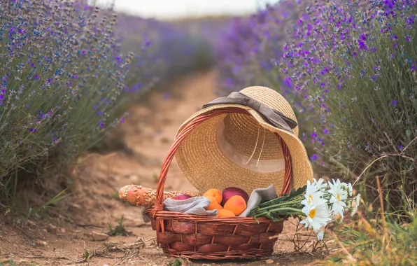 Field, summer, flowers, apples, chamomile, bouquet, hat, bread