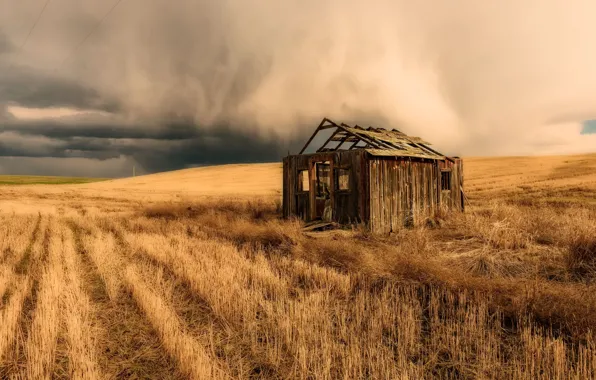 Picture field, clouds, nature, home