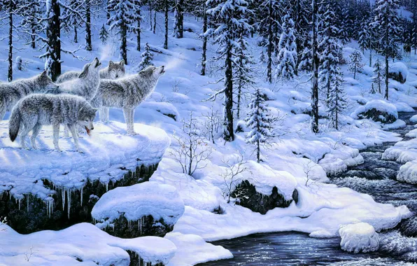 Winter, forest, snow, trees, nature, pose, river, stream