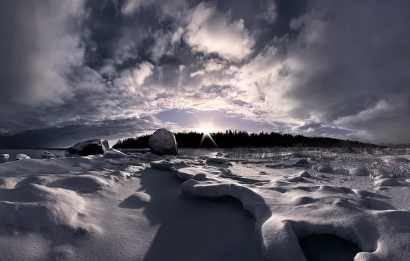 Nature, winter, snow