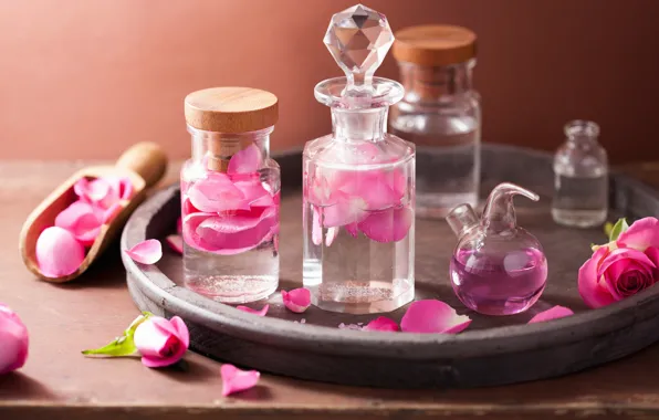 Picture flowers, roses, petals, still life, pink flowers, spa
