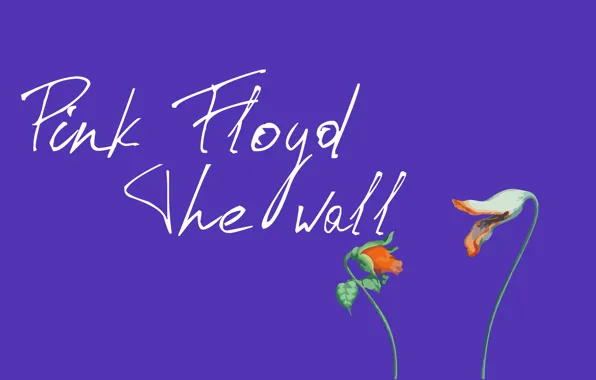 Picture flowers, Pink Floyd, lilac, The Wall