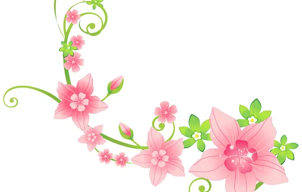 Flowers, curls, white background