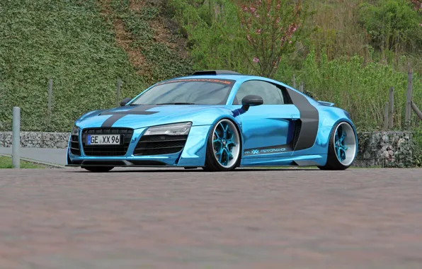 Picture Audi, V10, XXX Performance, R8, by