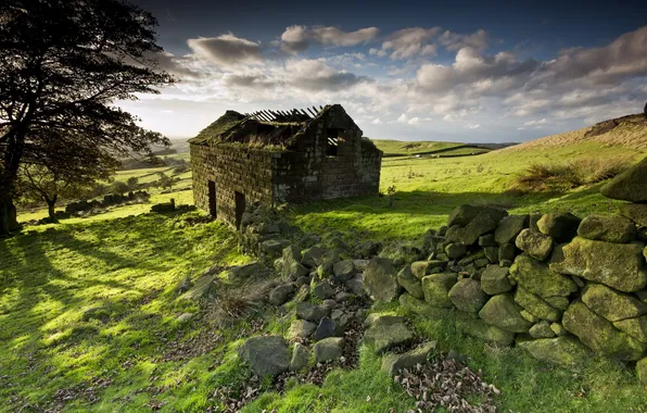 Landscape, the fence, home