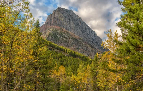 Autumn, forest, the sky, trees, mountains, rocks, slope