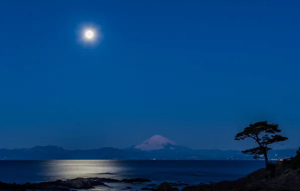 Sea, landscape, tree, mountain, the volcano