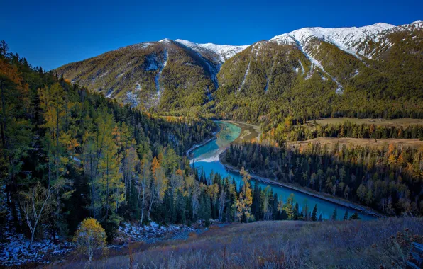 Picture forest, mountains, China, Kanas lake