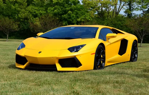 Picture lamborghini, lp700-4, aventador, yellow