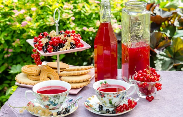 Wallpaper Cup, bottle, cookies, Morse, currants, summer