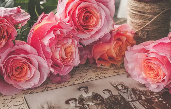 Retro, Pink, Roses, Vintage, Nostalgia