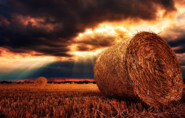 Summer, the sky, landscape, nature, harvest, panorama, straw, gold