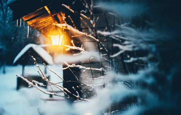 Winter, light, snow, branches, nature, house, lantern