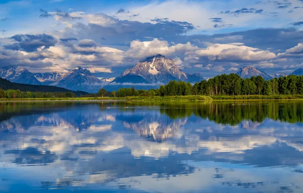 Forest, clouds, trees, mountains, reflection, river, Wyoming, Wyoming