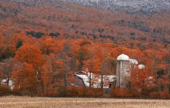 Picture autumn, farm, Vermont