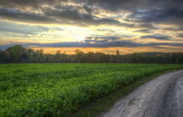 Road, field, sunset