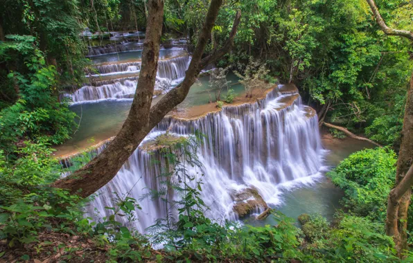 Forest, landscape, river, rocks, waterfall, summer, forest, tropical