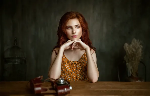 Picture look, girl, pose, room, model, red, Forest Albert