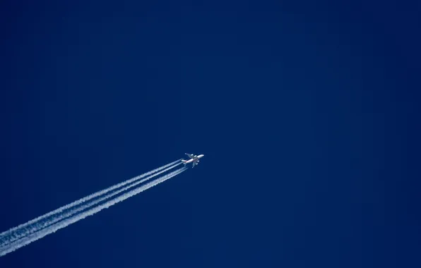 The sky, trail, the plane