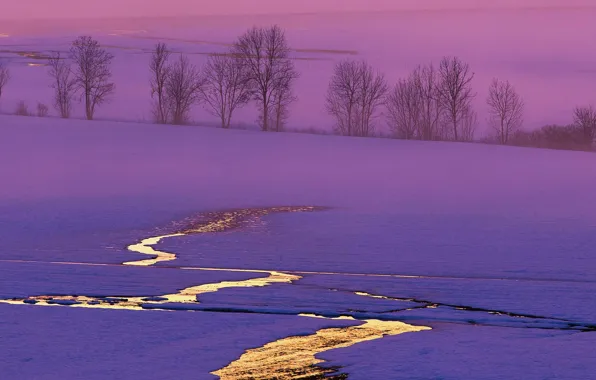 Picture winter, field, snow, trees, sunset, Switzerland