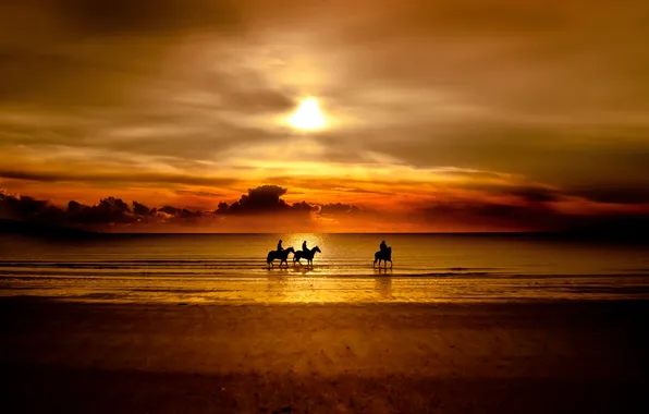 Sea, sunset, nature, horses, riders