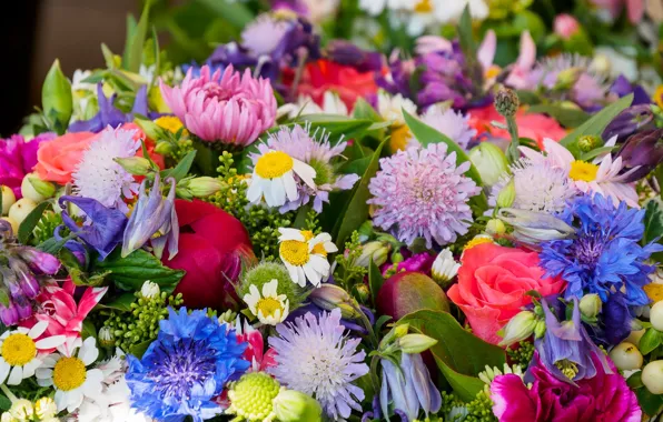 Roses, chamomile, bouquet, colorful, cornflowers, clove