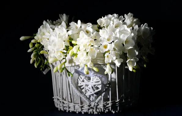 Bouquet, black background, white flowers, Freesia