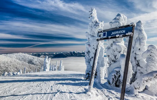 Winter, forest, snow, landscape, mountains