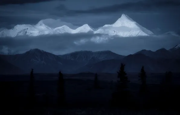 Picture forest, clouds, mountains, night, darkness, the dark background, tops, ate
