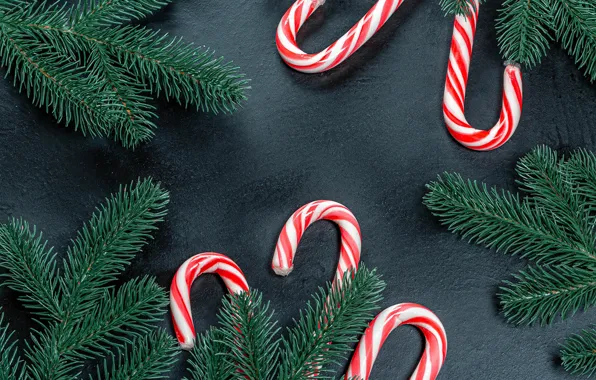 Photo, Branches, New year, Food, Lollipops