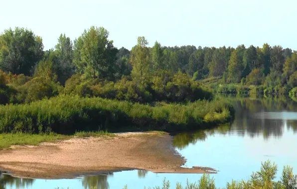 Sand, Russia, taiga, Siberia, forest.water, River YAYA