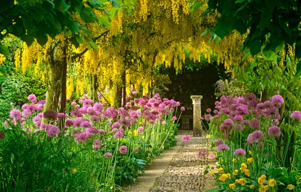 Flowers, garden, track, column, acacia