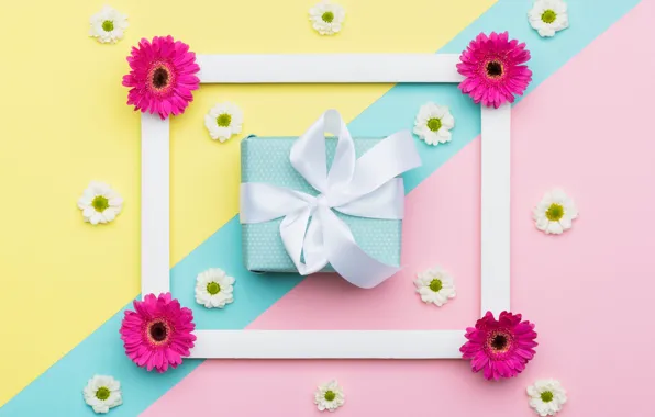 Flowers, yellow, background, pink, holiday, box, gift, blue