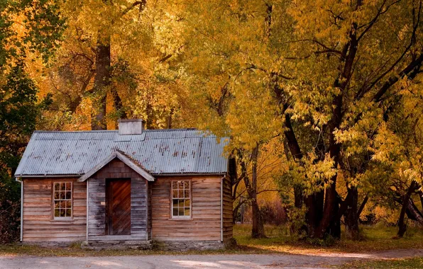 Road, autumn, leaves, house